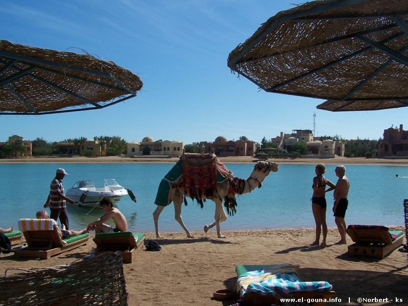 Hotel The Three Corners Rihana Inn El Gouna 195